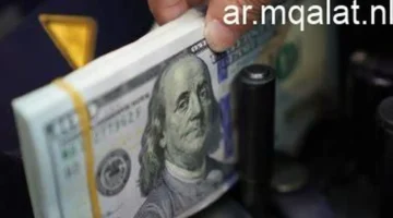 تراجع مفاجئ.. سعر الدولار يفقد 3 جنيهات في تعاملات البنوك اليوم الجمعة